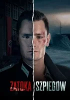 Шпионский залив смотреть онлайн сериал 1 сезон